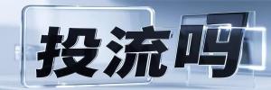 双凤桥街道今日热搜榜